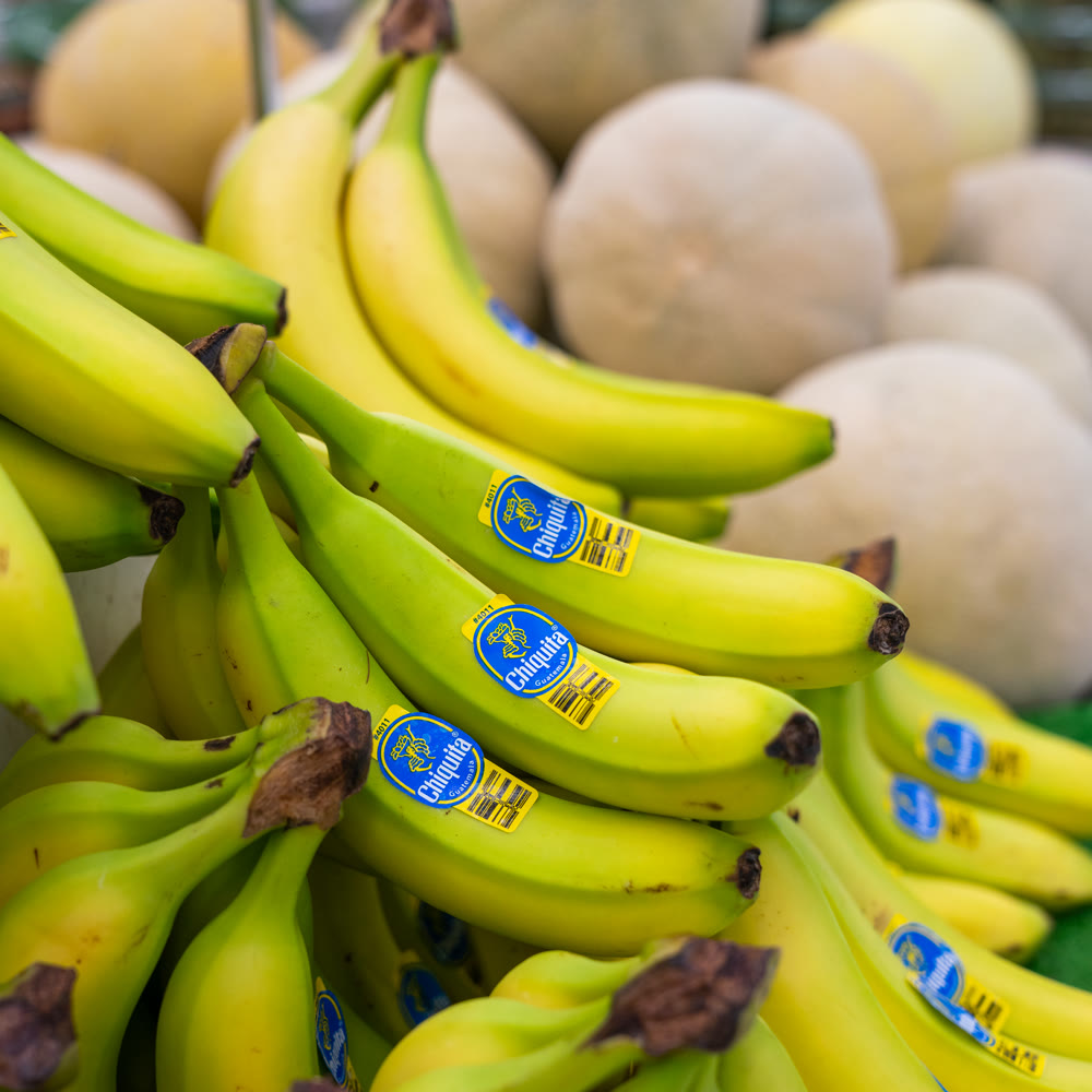 Bunches of bananas in front of a pile of cantaloupes